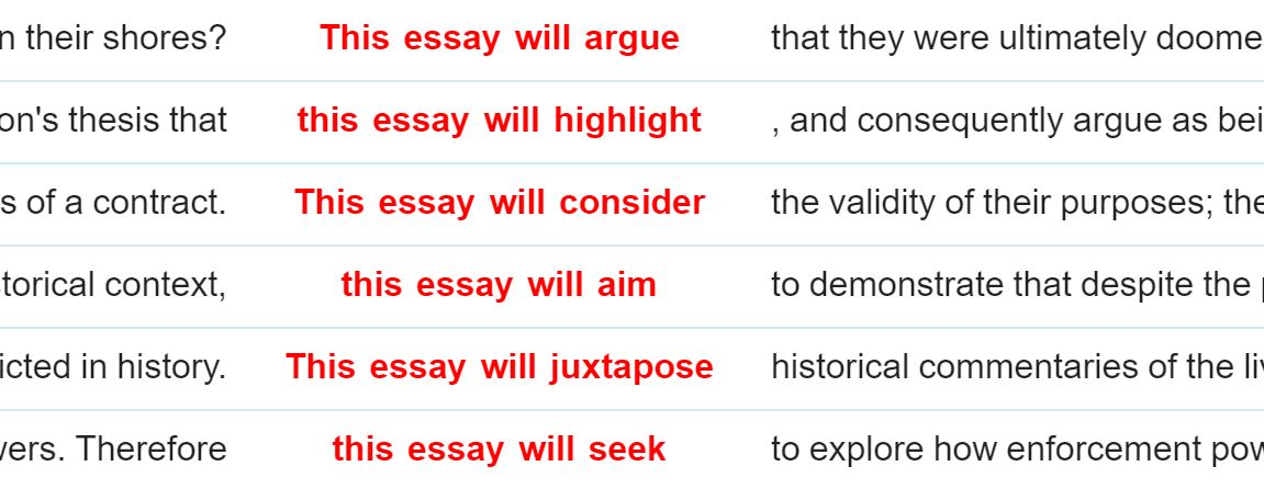 This essay will